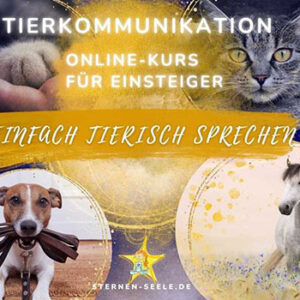 Tierkommunikation Online-Kurs für Einsteiger. Einfach TIERISCH sprechen.